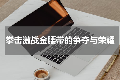 拳击激战金腰带的争夺与荣耀