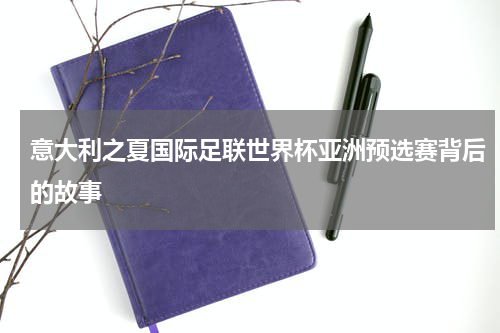 意大利之夏国际足联世界杯亚洲预选赛背后的故事