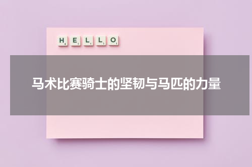 马术比赛骑士的坚韧与马匹的力量