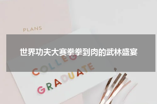 世界功夫大赛拳拳到肉的武林盛宴