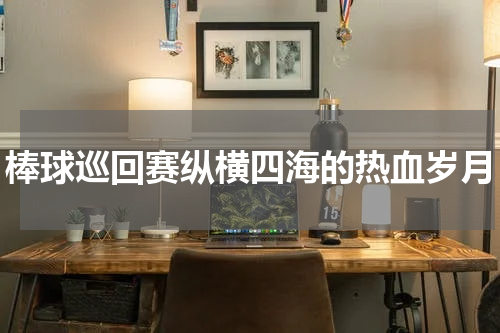 棒球巡回赛纵横四海的热血岁月