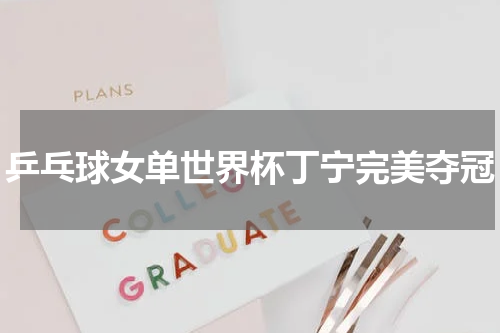 乒乓球女单世界杯丁宁完美夺冠