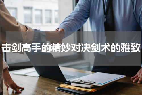 击剑高手的精妙对决剑术的雅致