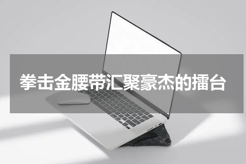 拳击金腰带汇聚豪杰的擂台