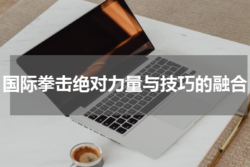 国际拳击绝对力量与技巧的融合