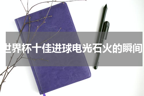 世界杯十佳进球电光石火的瞬间
