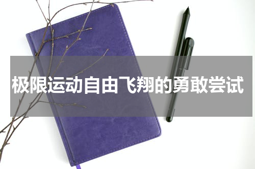 极限运动自由飞翔的勇敢尝试