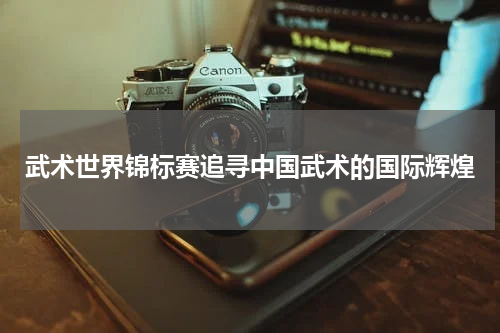 武术世界锦标赛追寻中国武术的国际辉煌