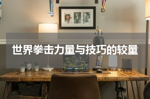 世界拳击力量与技巧的较量