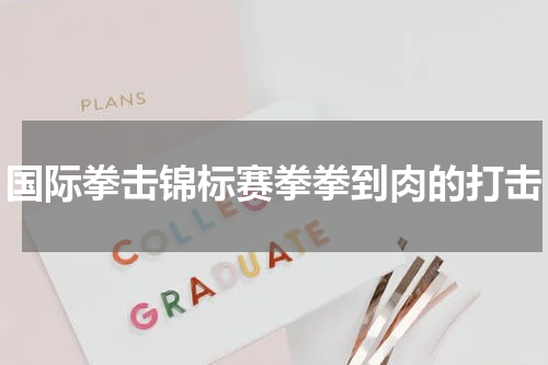 国际拳击锦标赛拳拳到肉的打击