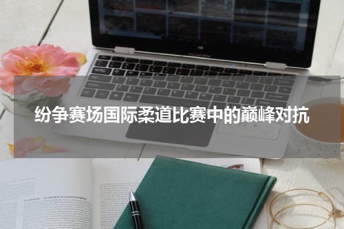 纷争赛场国际柔道比赛中的巅峰对抗