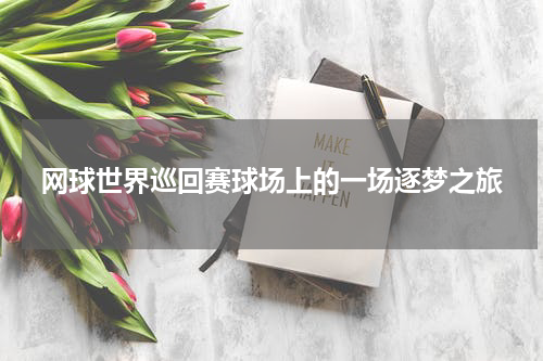 网球世界巡回赛球场上的一场逐梦之旅