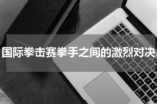 国际拳击赛拳手之间的激烈对决