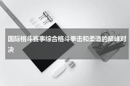 国际格斗赛事综合格斗拳击和柔道的巅峰对决