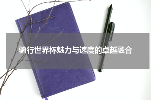 骑行世界杯魅力与速度的卓越融合