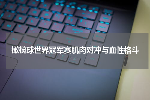 橄榄球世界冠军赛肌肉对冲与血性格斗