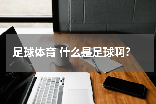足球体育 什么是足球啊？