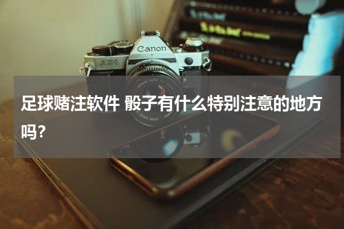 足球赌注软件 骰子有什么特别注意的地方吗？