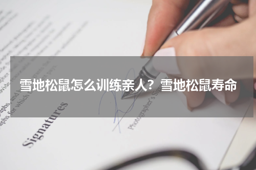雪地松鼠怎么训练亲人？雪地松鼠寿命