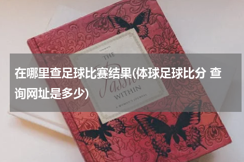 在哪里查足球比赛结果(体球足球比分 查询网址是多少)