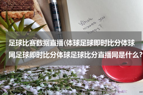 足球比赛数据直播(体球足球即时比分体球网足球即时比分体球足球比分直播网是什么？？)