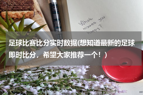 足球比赛比分实时数据(想知道最新的足球即时比分，希望大家推荐一个！)