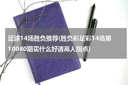 足球14场胜负推荐(胜负彩足彩14场第10080期买什么好请高人指点)