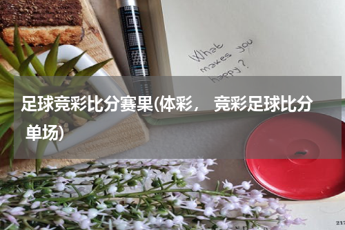 足球竞彩比分赛果(体彩， 竞彩足球比分 单场)