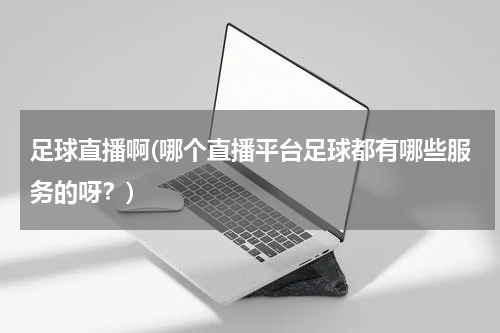 足球直播啊(哪个直播平台足球都有哪些服务的呀？)