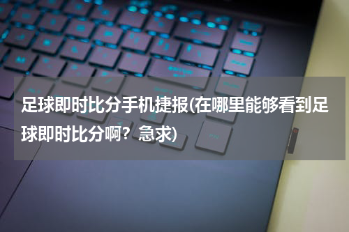 足球即时比分手机捷报(在哪里能够看到足球即时比分啊？急求)