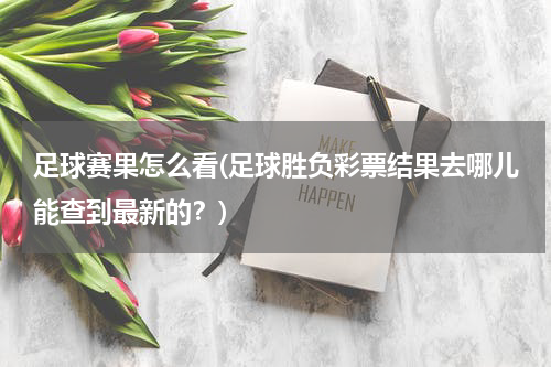 足球赛果怎么看(足球胜负彩票结果去哪儿能查到最新的？)