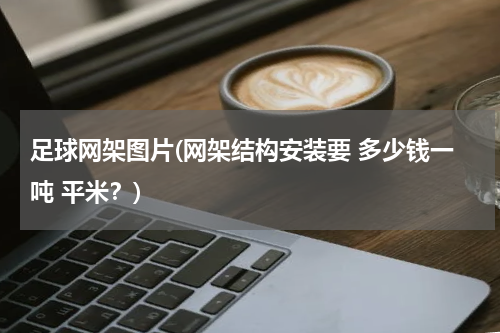 足球网架图片(网架结构安装要 多少钱一吨 平米？)