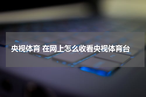 央视体育 在网上怎么收看央视体育台