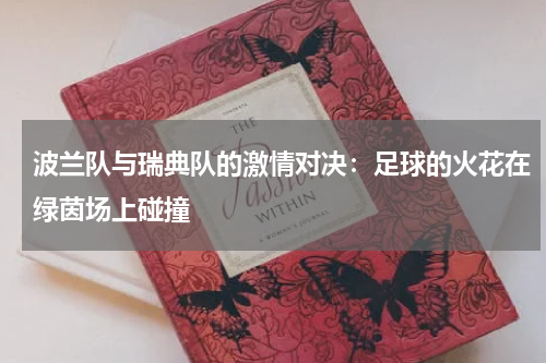 波兰队与瑞典队的激情对决：足球的火花在绿茵场上碰撞