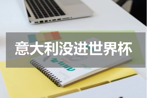 意大利没进世界杯