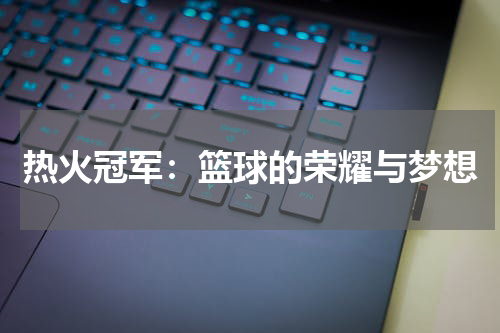 热火冠军：篮球的荣耀与梦想