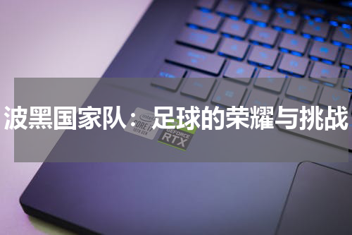 波黑国家队：足球的荣耀与挑战