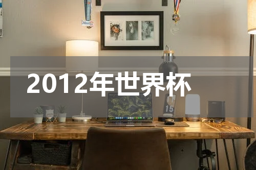 2012年世界杯