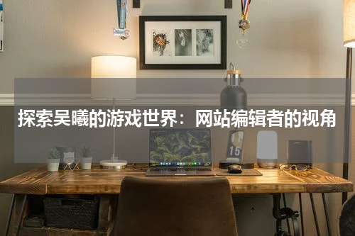 探索吴曦的游戏世界：网站编辑者的视角