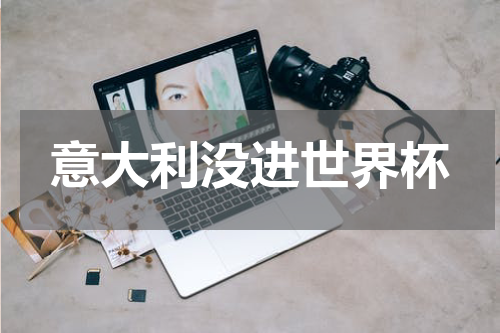 意大利没进世界杯