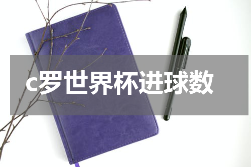 c罗世界杯进球数