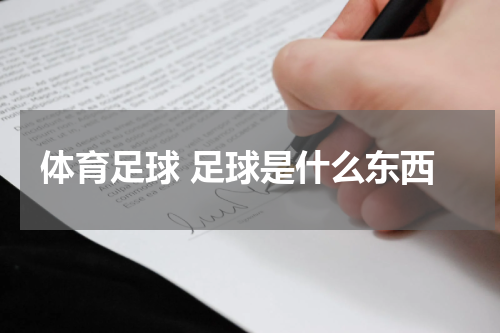 体育足球 足球是什么东西