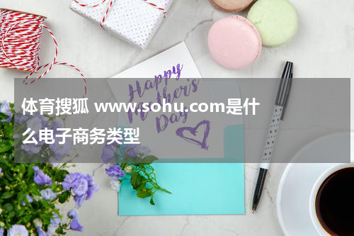 体育搜狐 www.sohu.com是什么电子商务类型