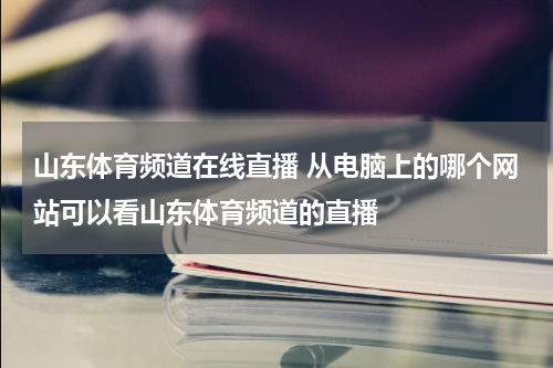 山东体育频道在线直播 从电脑上的哪个网站可以看山东体育频道的直播