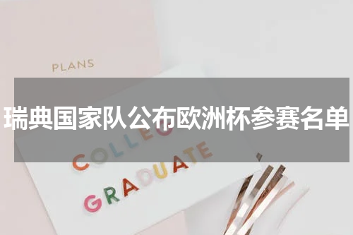 瑞典国家队公布欧洲杯参赛名单