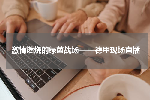 激情燃烧的绿茵战场——德甲现场直播