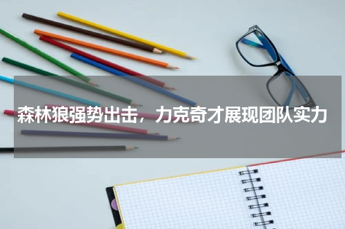 森林狼强势出击，力克奇才展现团队实力