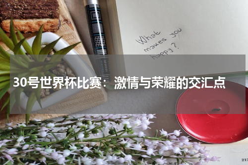 30号世界杯比赛：激情与荣耀的交汇点
