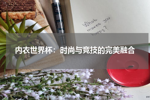 内衣世界杯：时尚与竞技的完美融合