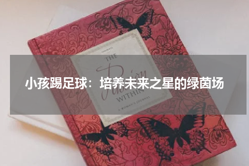 小孩踢足球：培养未来之星的绿茵场